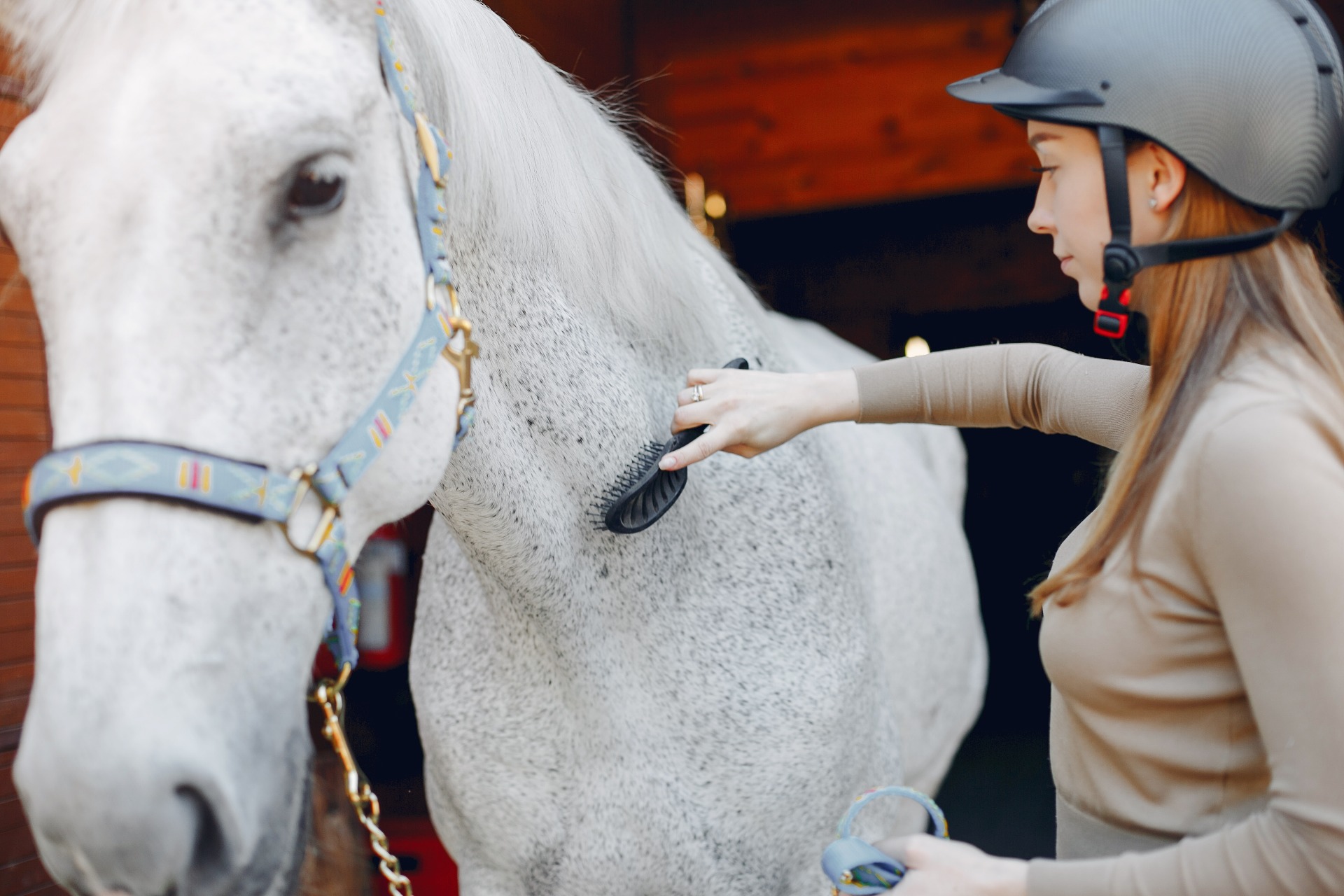 Why This Guided Horse Ride With Grooming & Stable Tour Is Perfect For Beginners