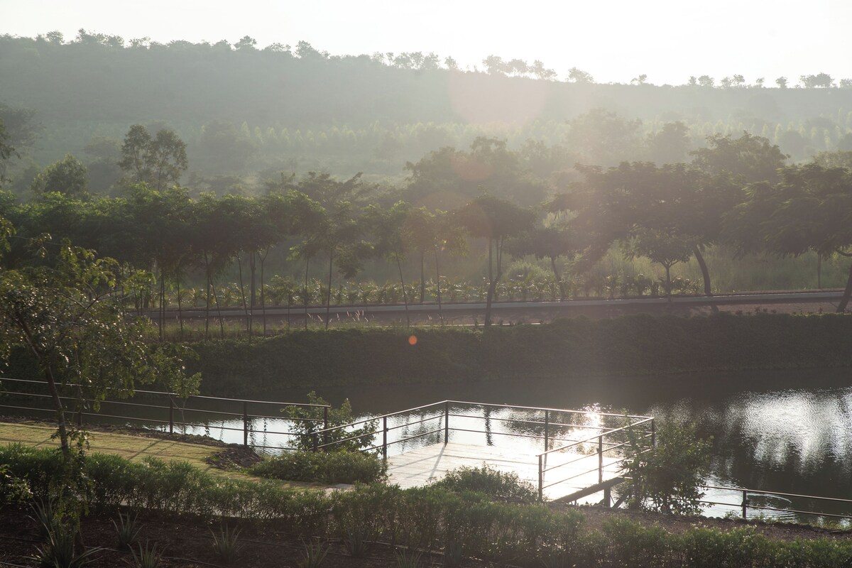 Small fenced wooden fishing deck on a tranquil lake with morning sunlight.