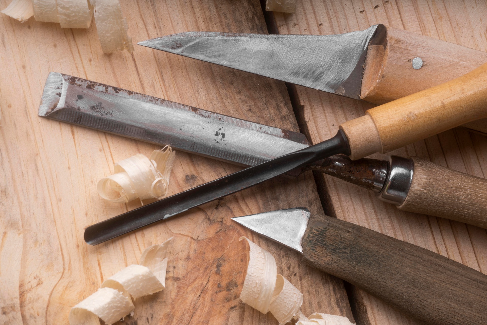 Getting comfortable with wood and tools is half the fun