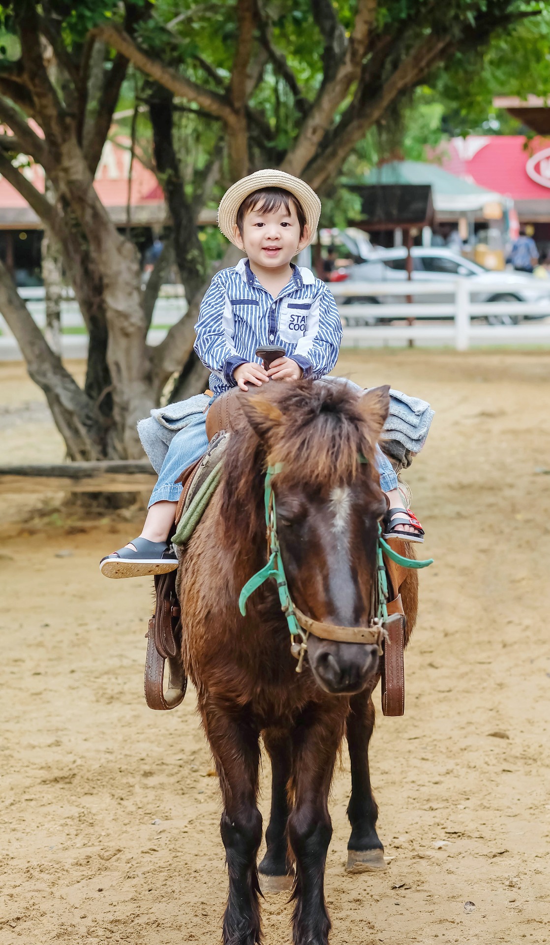 Wrapping Up with Games, Certificates, and Big Smiles