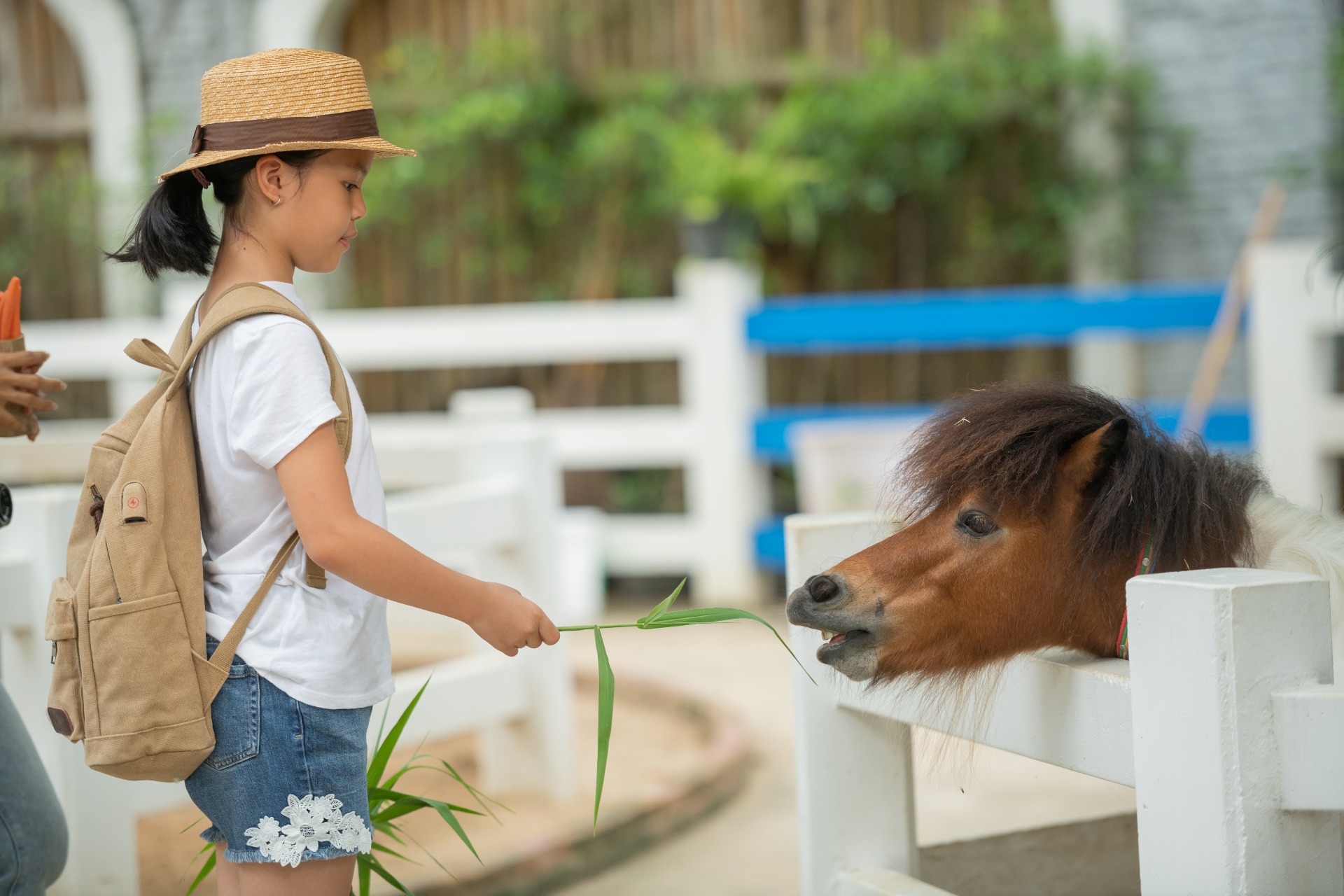 Hands-On Pony Care – More Than Just Riding