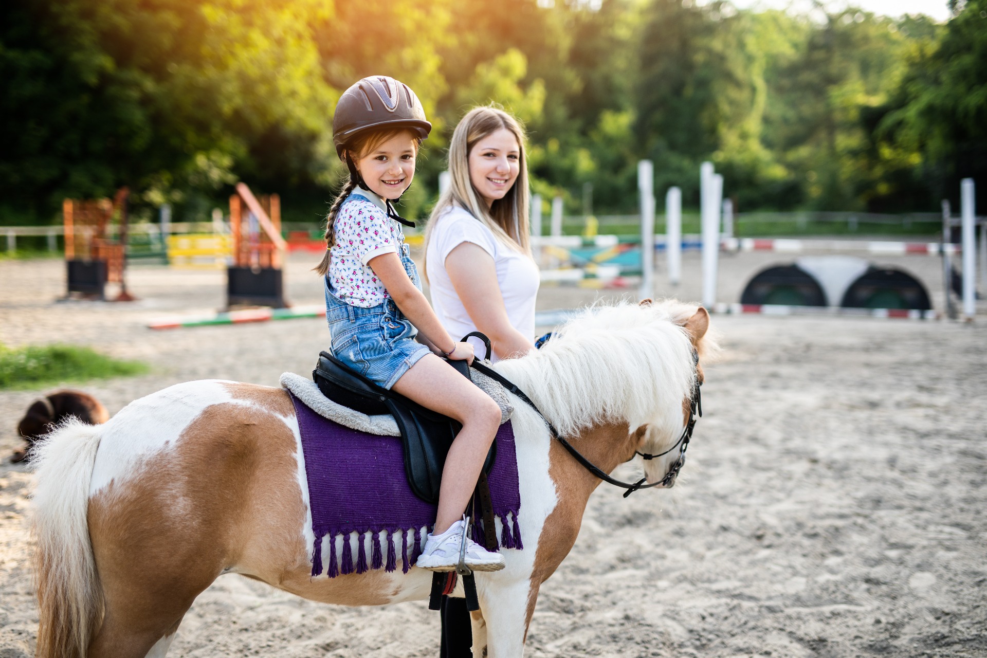 Hands-On Pony Care – More Than Just Riding