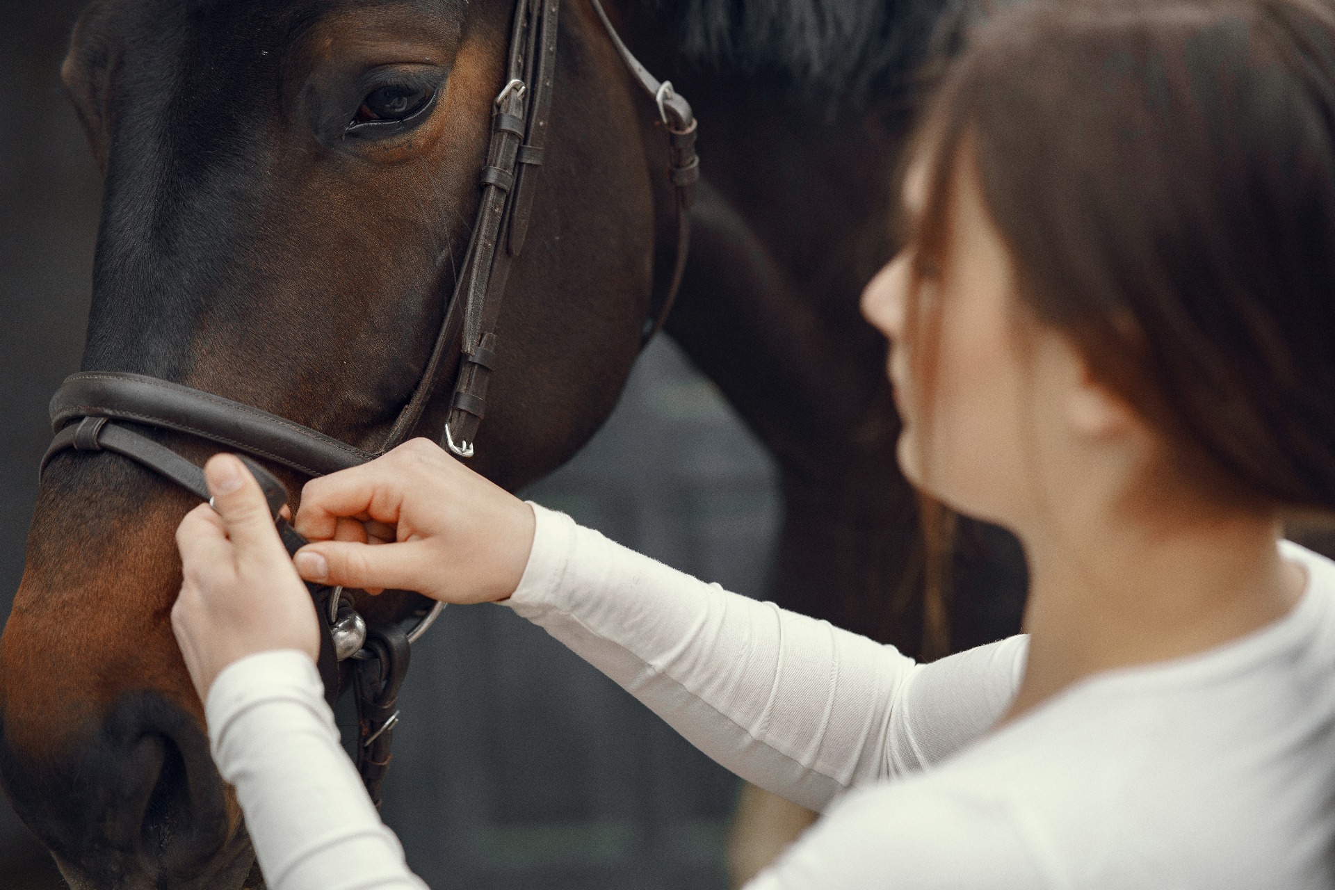 Getting Hands-On with Grooming and Stable Care