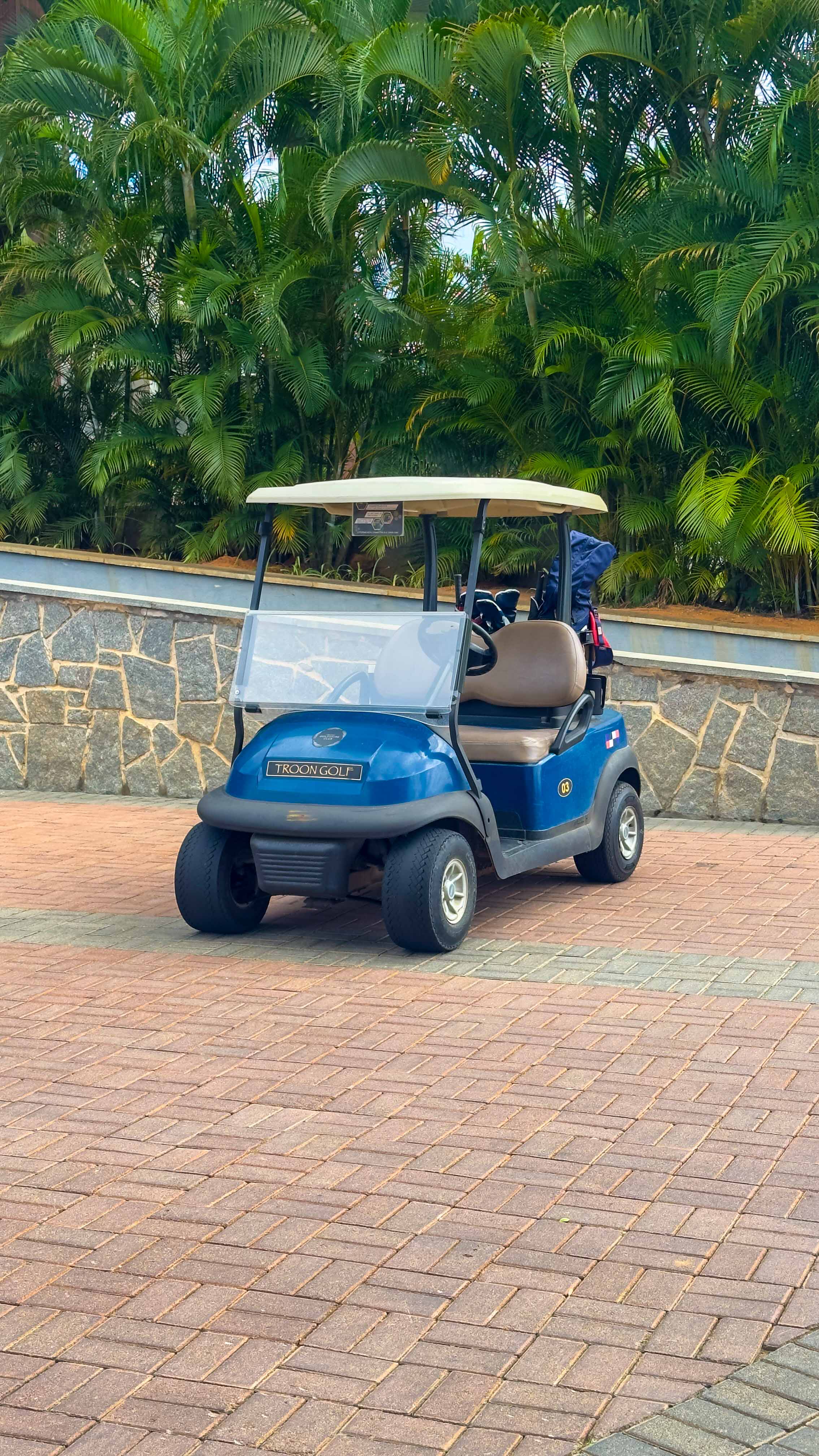 Take a tour in a golf cart, of the sprawling 18-hole course by the Nandi Hills