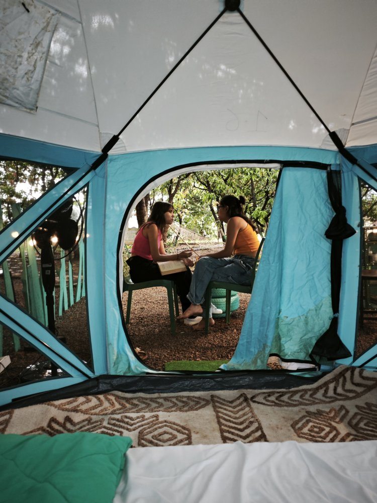 How the Off Beat Christmas Week feels like a warm hug from nature