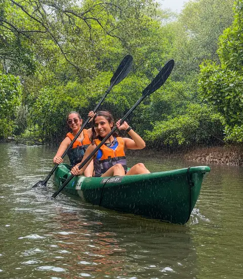 Monsoon Rivers And Mangroves Kayaking