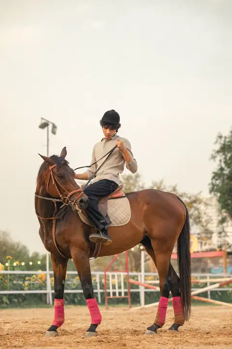 Horse Riding Learning