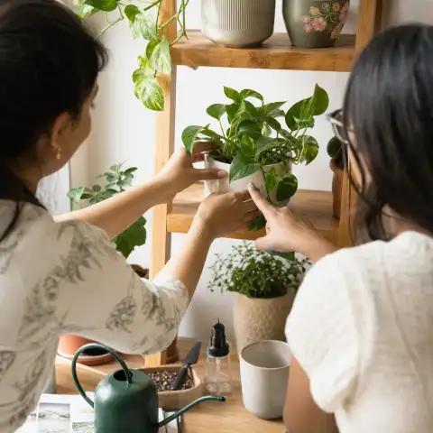See how plants can fit naturally into everyday home corners and shelves.