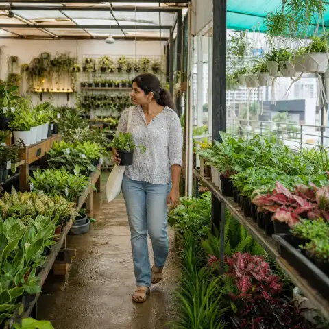 Explore plants for bedrooms, living rooms, desks and balconies in one guided session.