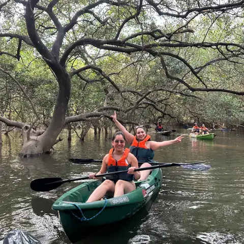 Morjim’s Quiet Mangrove Escape