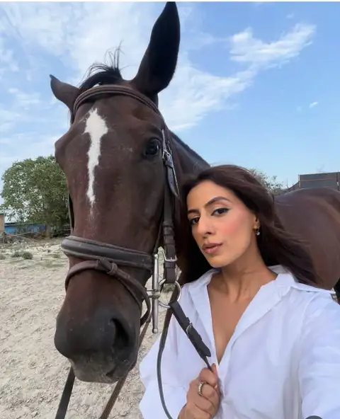 Beginner Friendly Horse Riding - Noida