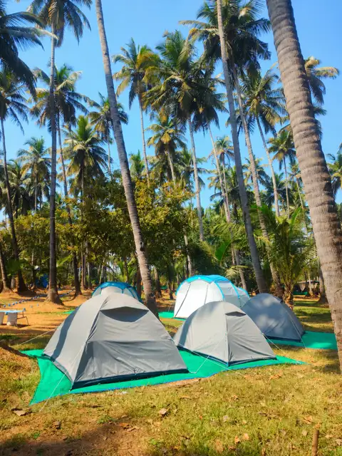 Overnight Island Camping Experience 