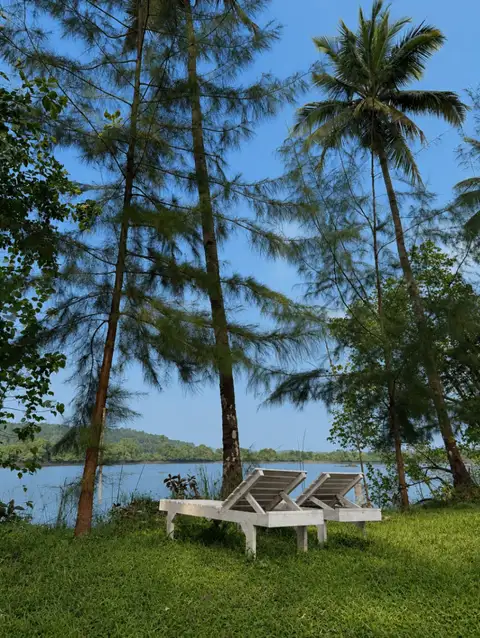A Serene Island Picnic