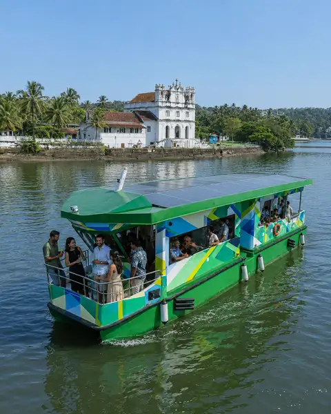 Solar Boat Mangrove Cruise with Lunch