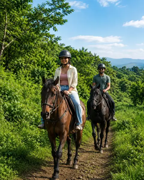 A Scenic Horse Riding Escape