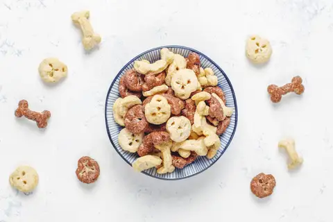Your dog can enjoy tasty, dog-friendly snacks after all the splashing fun. 
