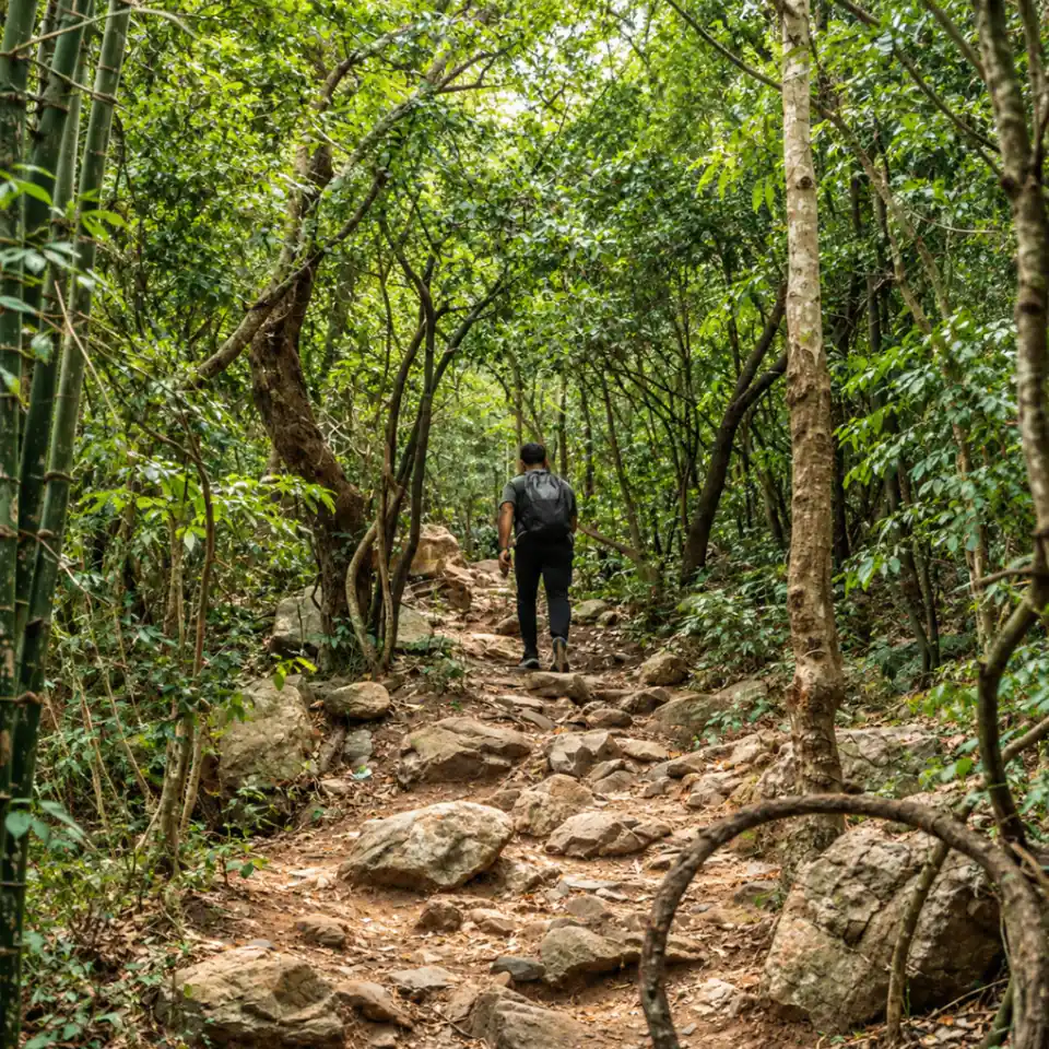 Trail It Out 🥾