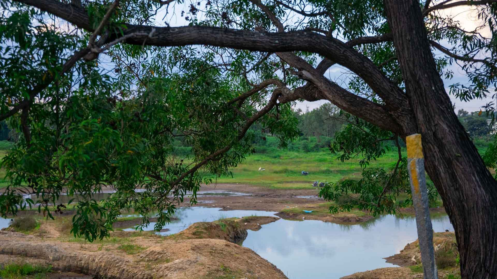 How to Make It Happen for You