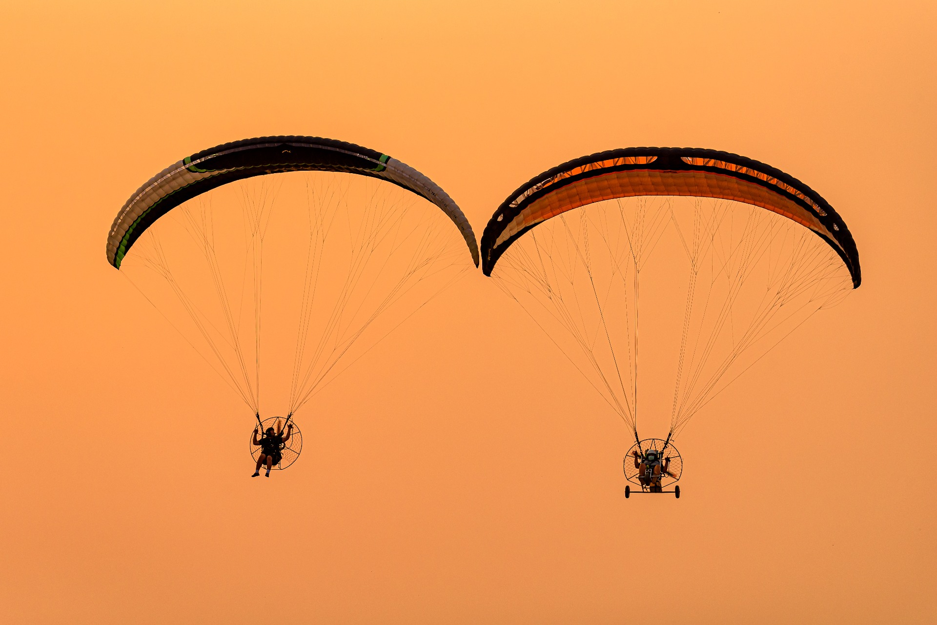 Up in the Air: The Flight You’ll Never Forget
